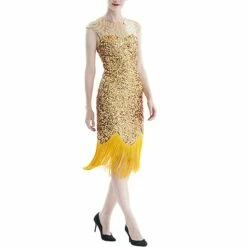 Women's Retro 1920s Fringe Dress Midi Dress Party Halloween Sequins Tassel Fringe Geometric Crewneck Sleeveless Regular Fit Spring Fall 2023 Black Pink S M L XL -LIGHTINTHEBOX Shop dxvwya1692856764675