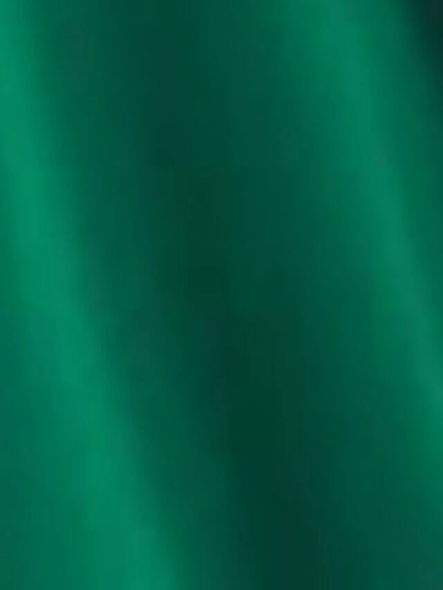 Women's Plus Size Curve Party Dress Casual Dress Sheath Dress Plain Midi Dress Long Sleeve Ruched V Neck Fashion Outdoor Green Fall Winter XL XXL 3XL 4XL 7 Women's Plus Size Curve Party Dress Casual Dress Sheath Dress Plain Midi Dress Long Sleeve Ruched V Neck Fashion Outdoor Green Fall Winter XL XXL 3XL 4XL - Image 5