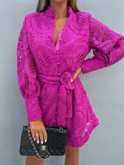 Women's Party Dress Lace Dress Cocktail Dress Mini Dress Black Green Rose Long Sleeve Pure Color Lace Fall Winter Autumn Stand Collar Fashion Vacation 2023 S M L XL 13 Women's Party Dress Lace Dress Cocktail Dress Mini Dress Black Green Rose Long Sleeve Pure Color Lace Fall Winter Autumn Stand Collar Fashion Vacation 2023 S M L XL -LIGHTINTHEBOX Shop fkuiml1694503330254