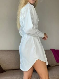 Women's Shirt Dress Casual Dress Mini Dress Outdoor Daily Date Polyester Fashion Basic Shirt Collar Button Long Sleeve Fall Winter 2023 Regular Fit Black White Brown Pure Color S M L -LIGHTINTHEBOX Shop ijtswi1695644829372