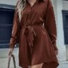 Women's Shirt Dress Casual Dress Plain Dress Midi Dress Lace Up Button Daily Date Going Out Active Fashion Shirt Collar Long Sleeve 2023 Loose Fit Black Brown Color S M L XL Size -LIGHTINTHEBOX Shop ixeaqw1692613116387