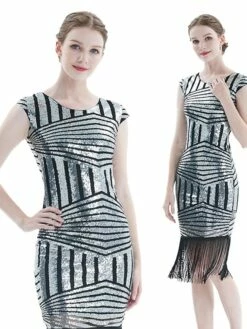 Women's Retro 1920s Fringe Dress Midi Dress Party Halloween Sequins Tassel Fringe Geometric V Neck Short Sleeve Regular Fit Spring Fall 2023 Silver Pink S M L XL -LIGHTINTHEBOX Shop llbpwc1693212355635