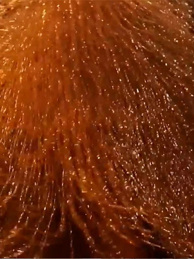 Women's Party Dress Fringe Dress Tassel Dress Knee Length Dress Gold Sleeveless Pure Color Tassel Fringe Summer Spring Deep V Fashion Loose Fit 2023 S M L XL XXL 5 Women's Party Dress Fringe Dress Tassel Dress Knee Length Dress Gold Sleeveless Pure Color Tassel Fringe Summer Spring Deep V Fashion Loose Fit 2023 S M L XL XXL - Image 3