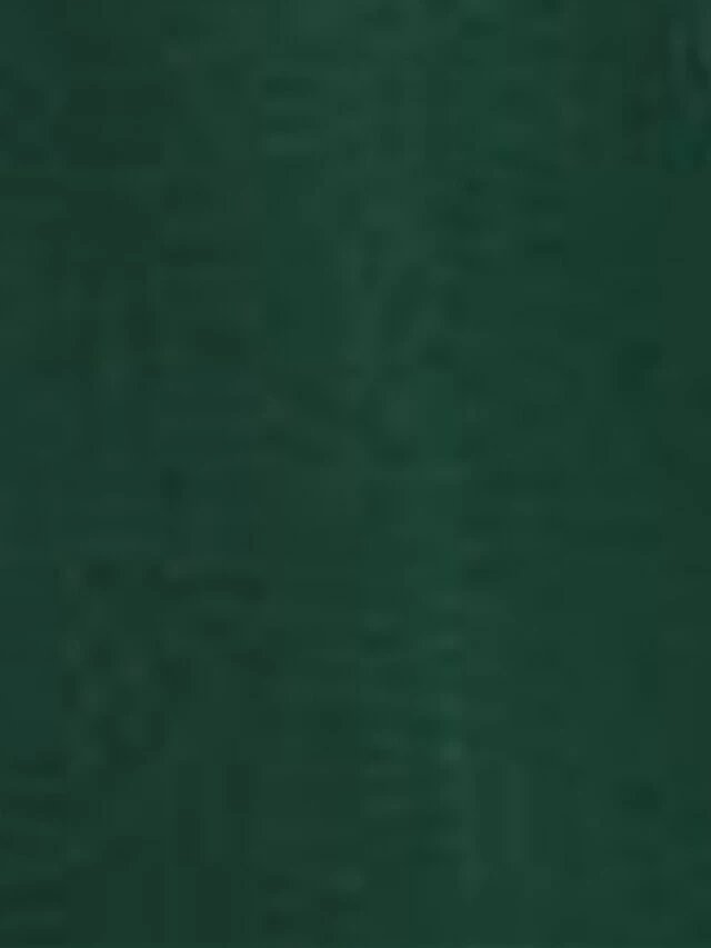 Women's Plus Size Curve Casual Dress Sheath Dress Plain Midi Dress Long Sleeve Lace Up Split V Neck Fashion Outdoor Green Fall Winter XL XXL 3XL 4XL 9 Women's Plus Size Curve Casual Dress Sheath Dress Plain Midi Dress Long Sleeve Lace Up Split V Neck Fashion Outdoor Green Fall Winter XL XXL 3XL 4XL - Image 7