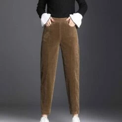 Women‘s Fleece Corduroy Pants Chinos Trousers Ankle-Length Side Pockets Micro-elastic Mid Waist Fashion Casual Weekend Black Brown S M 23 Women‘s Fleece Corduroy Pants Chinos Trousers Ankle-Length Side Pockets Micro-elastic Mid Waist Fashion Casual Weekend Black Brown S M -LIGHTINTHEBOX Shop tysmin1656415177032