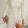 Women's Party Dress Fringe Dress Sheath Dress Mini Dress Silver Long Sleeve Pure Color Tassel Fringe Fall Winter High Neck Sexy Party Winter Dress Fall Dress Slim 2023 S M L XL XXL 2 Women's Party Dress Fringe Dress Sheath Dress Mini Dress Silver Long Sleeve Pure Color Tassel Fringe Fall Winter High Neck Sexy Party Winter Dress Fall Dress Slim 2023 S M L XL XXL -LIGHTINTHEBOX Shop uzytgx1676381282160