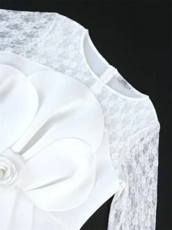 Women's Plus Size Curve Party Dress Lace Dress Bodycon Plain Midi Dress Long Sleeve Lace Bow Crew Neck Fashion Party White Fall Winter XL XXL 3XL 4XL -LIGHTINTHEBOX Shop vasvjd1694165774877