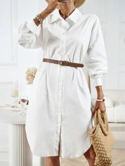 Women's Casual Dress Work Dress Shift Dress Mini Dress Outdoor Office Business Cotton Classic Modern Shirt Collar Button Pocket Long Sleeve Summer Spring Fall 2023 Loose Fit Black White Blue Pure