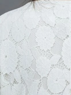 Women's Work Dress Lace Dress Black Dress Fashion Midi Dress Lace Pocket Crew Neck Long Sleeve Plain Loose Fit Black White Pink Fall M L XL XXL 3XL -LIGHTINTHEBOX Shop yzvbyu1693281266761